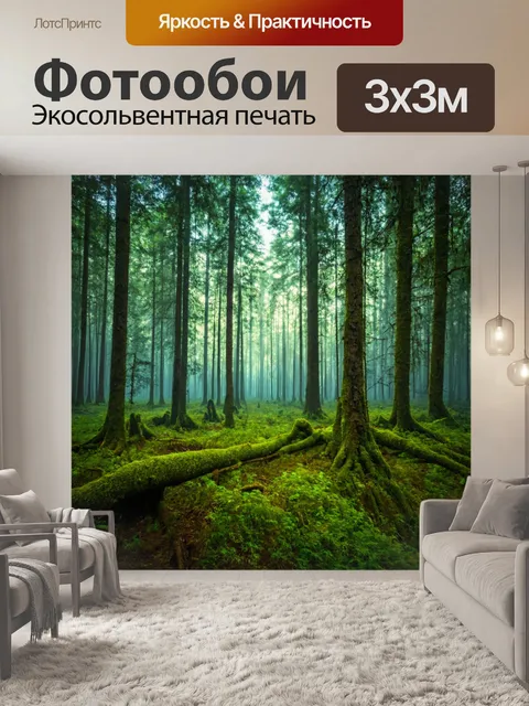 Фотообои лес с воздушными слоями, словно пришедшими из волшебной сказки