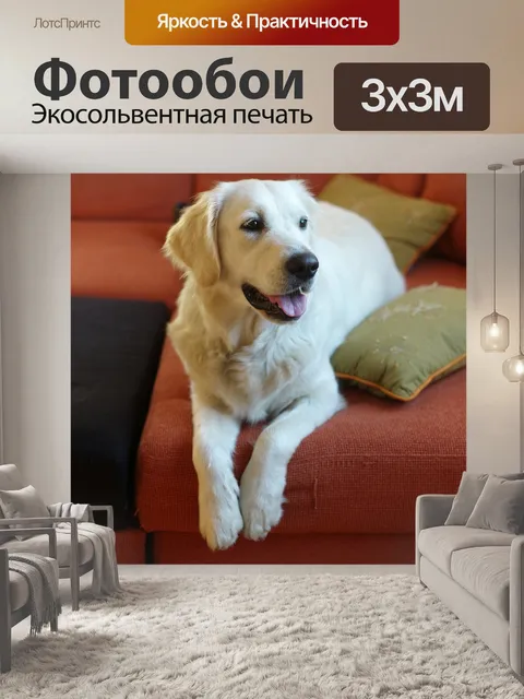 Фотообои Собака
