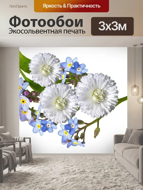 Фотообои Маргаритка