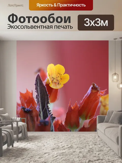 Фотообои Цветы