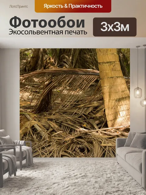 Фотообои пальма лес этаж