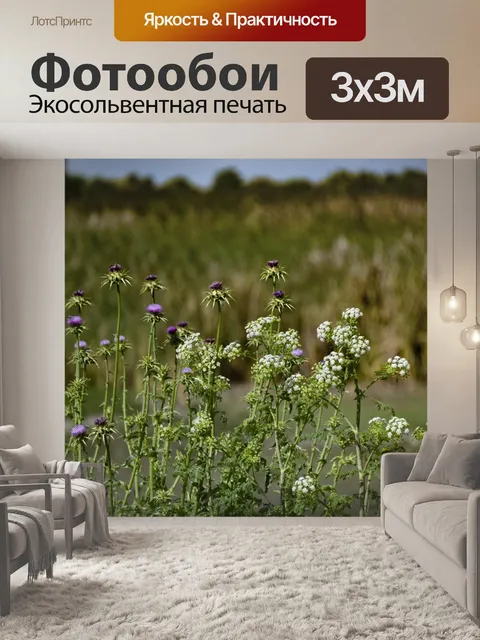 Фотообои Фон сорняки и цветы
