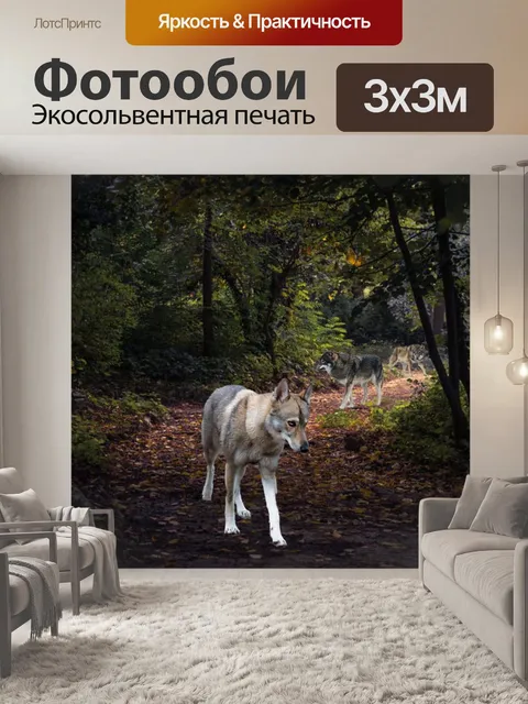 Фотообои Волки