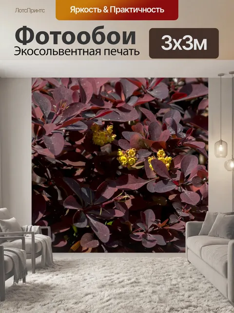 Фотообои Листы