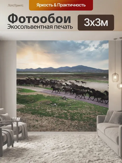 Фотообои Лошадь