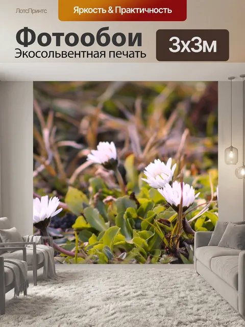 Фотообои Природа
