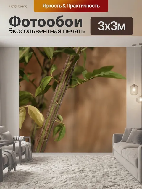 Фотообои Дерево