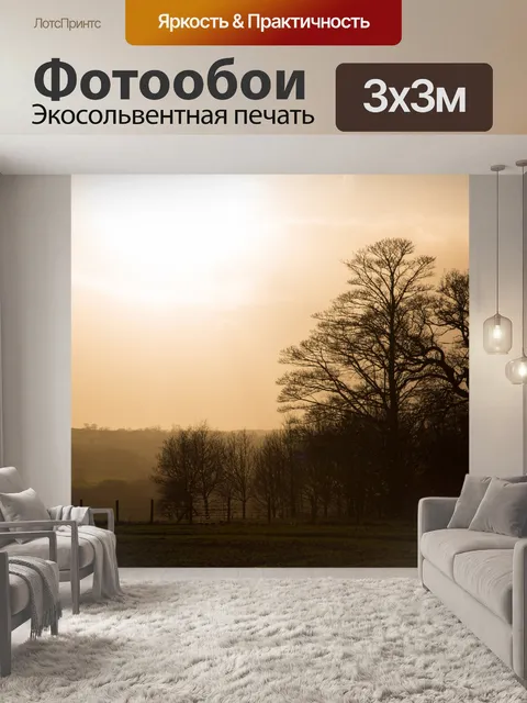 Фотообои Деревья без листьев