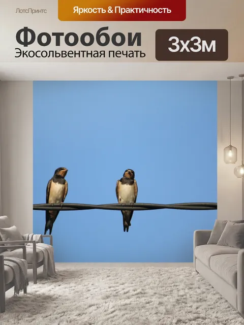 Фотообои Ласточки