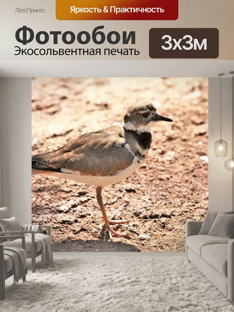Фотообои Крупный план убийцы