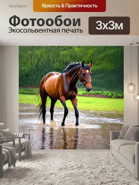 Фотообои лошадь, резвящаяся в лужах после дождя