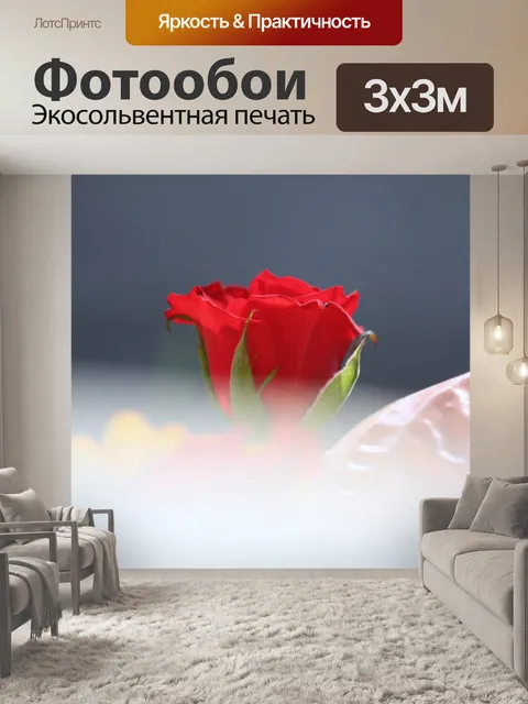 Фотообои Роуз