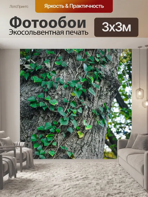 Фотообои Листья