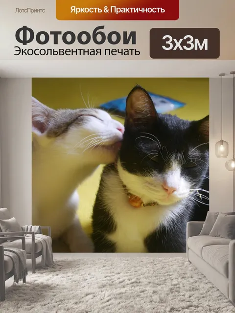 Фотообои Милый