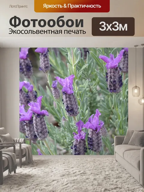 Фотообои Лаванда