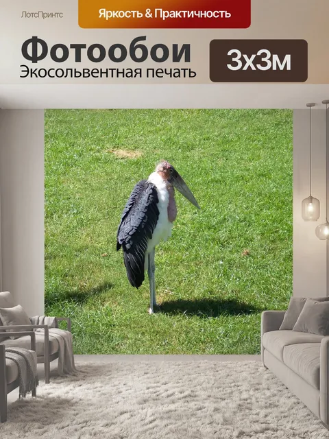 Фотообои Животное