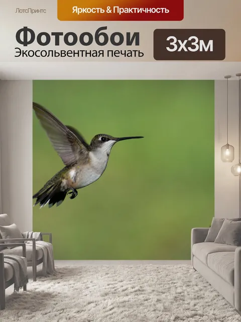Фотообои Птица