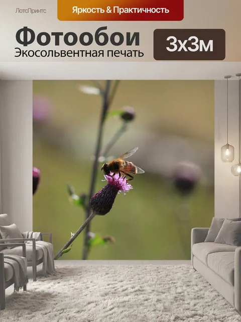 Фотообои Расцветает