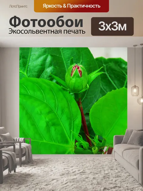 Фотообои Листья