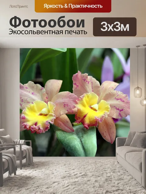 Фотообои Орхидеи