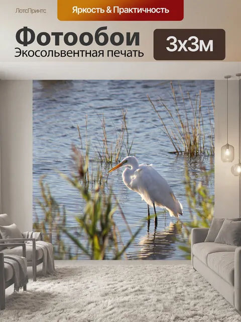 Фотообои Птица