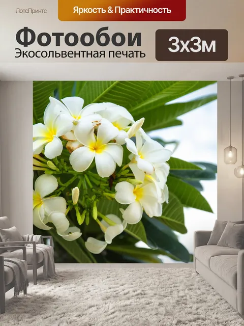 Фотообои Цветок