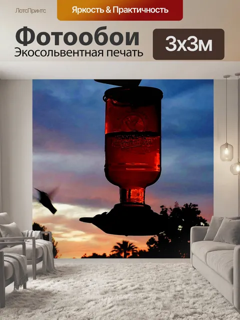 Фотообои Колибри в полете Закат