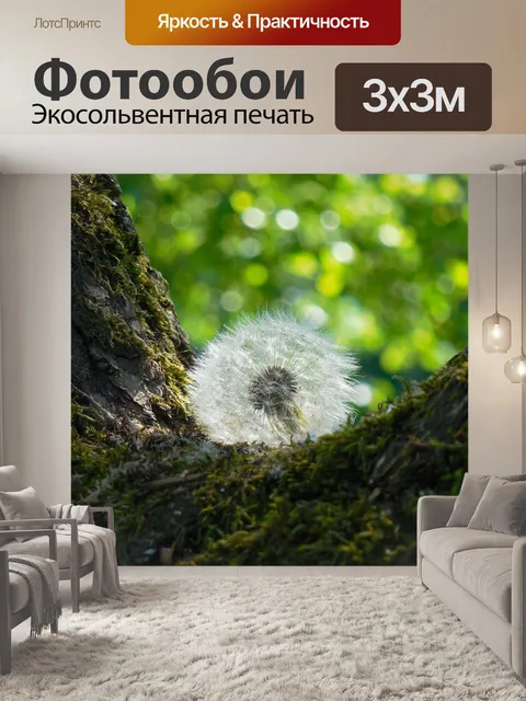 Фотообои Увядший одуванчик