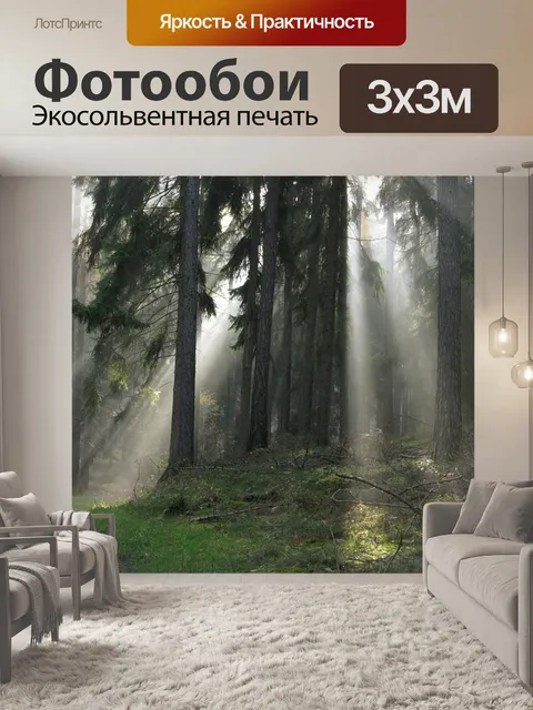 Фотообои Лес