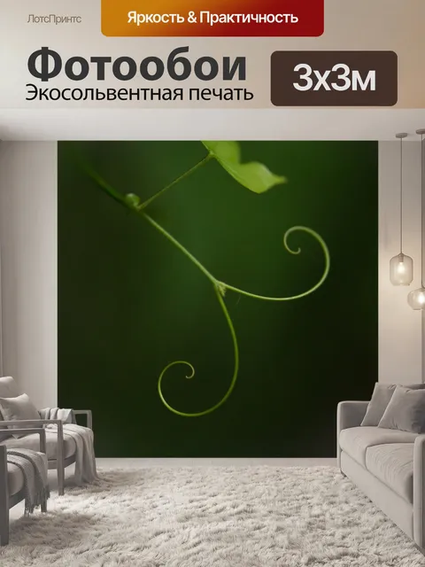 Фотообои Природный спираль