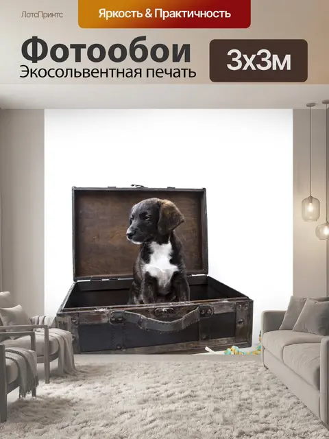 Фотообои Щенок с чемоданом