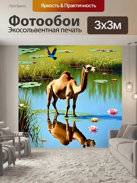 Фотообои величественный верблюд, мирно стоящий на берегу пруда, отражается в спокойной воде