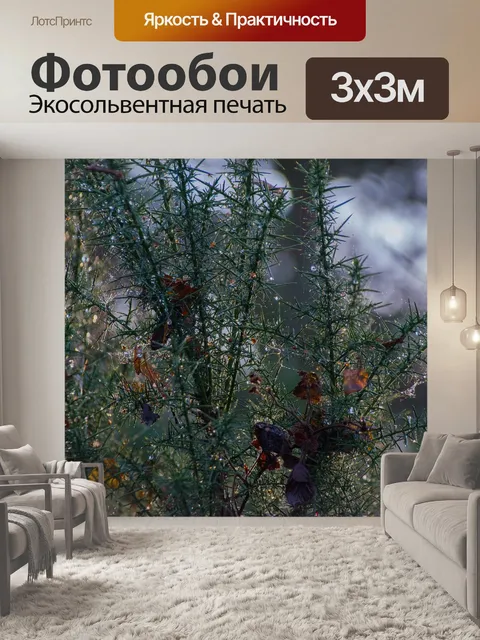 Фотообои Метла