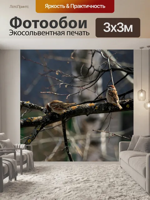 Фотообои Воробей