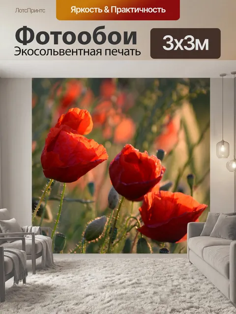 Фотообои Цветы мака цветут
