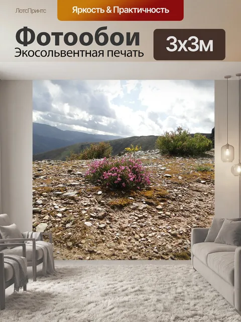 Фотообои Природа