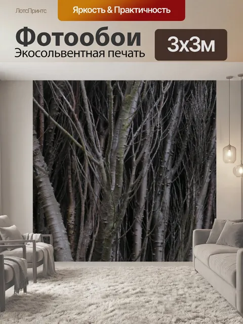 Фотообои Голые дерево Отрасли