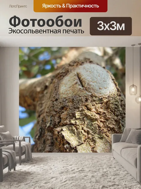 Фотообои Дерево Часть 3