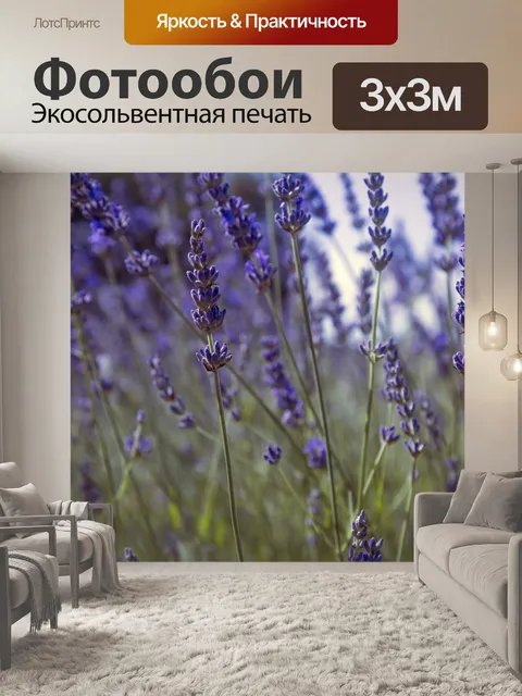 Фотообои Цветок лаванды