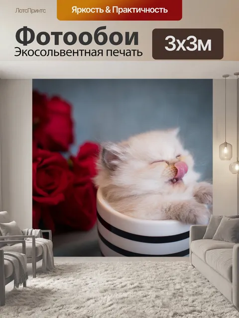 Фотообои Кошка