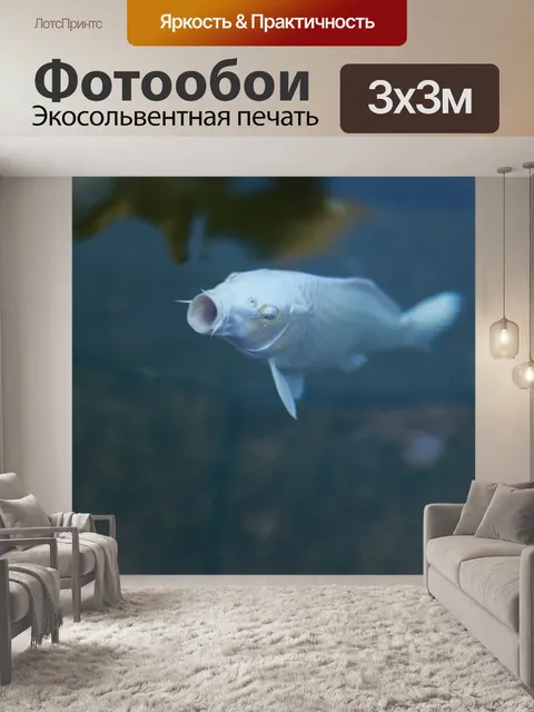 Фотообои Рыбы