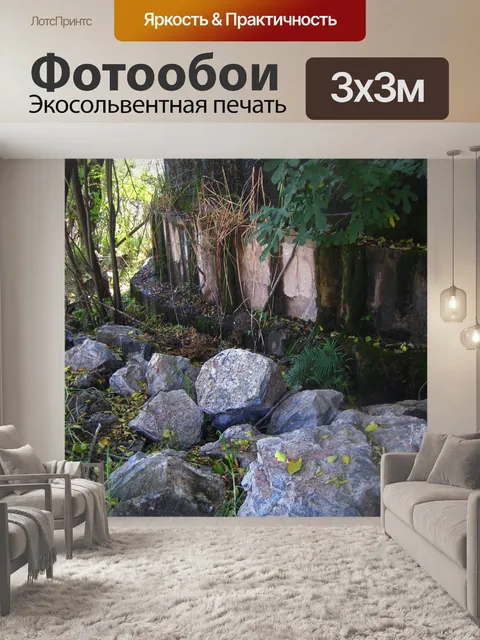 Фотообои мох растет на окрашенной стене
