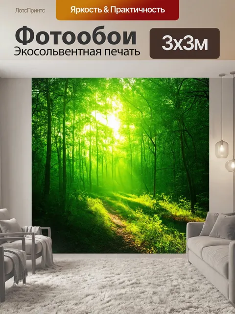 Фотообои градиент зелёного леса с пронзающим солнечным светом