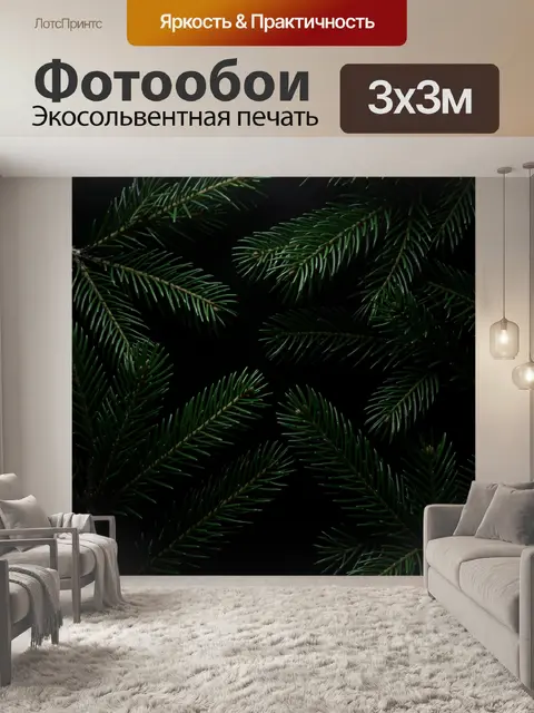 Фотообои Хвойные ветви на темном фоне