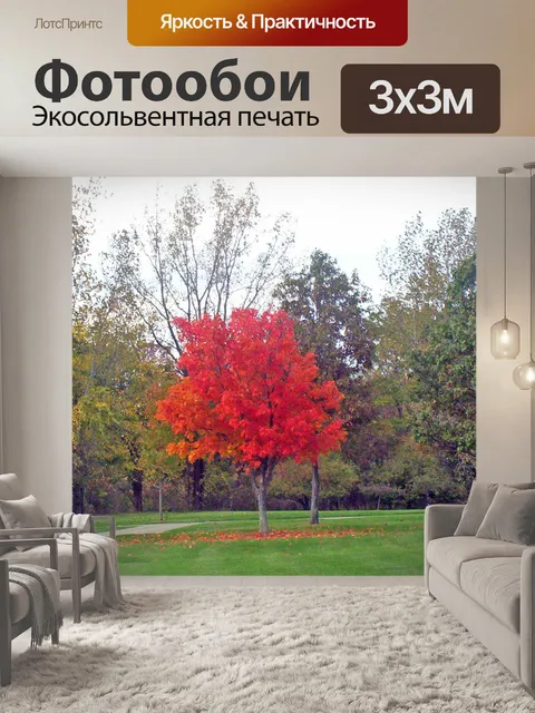 Фотообои Осеннее Дерево в парке