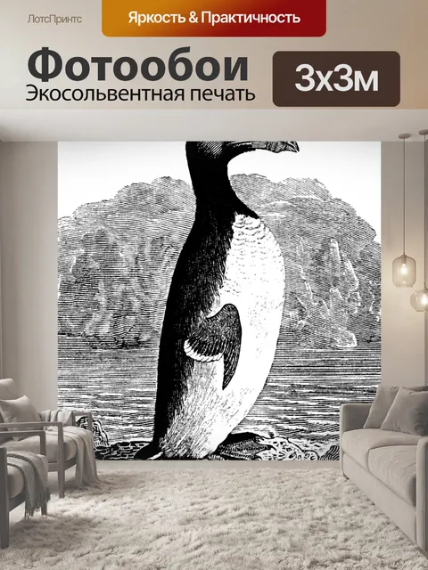 Фотообои Великий Аук