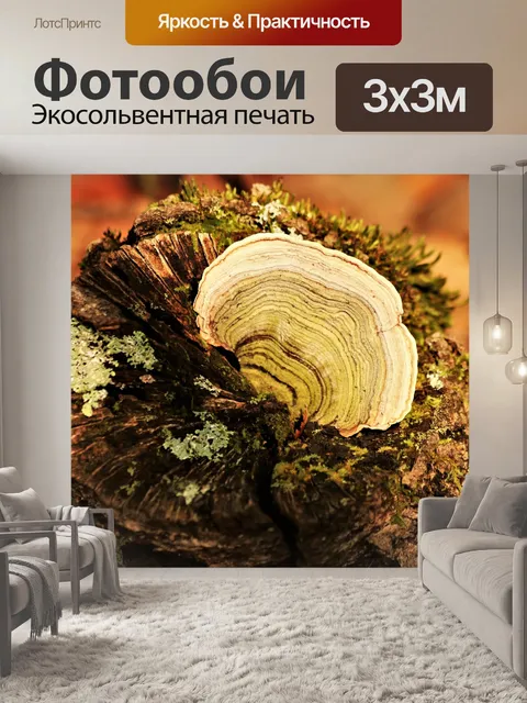 Фотообои Зеленый грибок на ветке