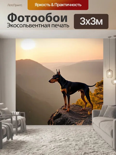 Фотообои одинокий доберман стоит на краю живописного утеса
