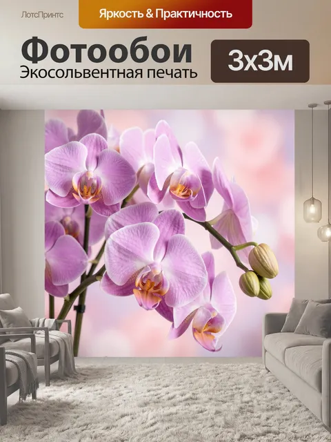 Фотообои Нежные розовые орхидеи