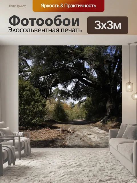Фотообои Деревьев вдоль пути